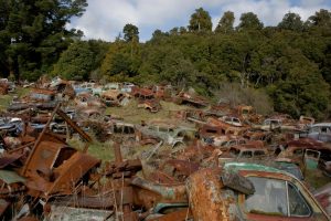 Graveyard of Cars, Horopito, 2007
