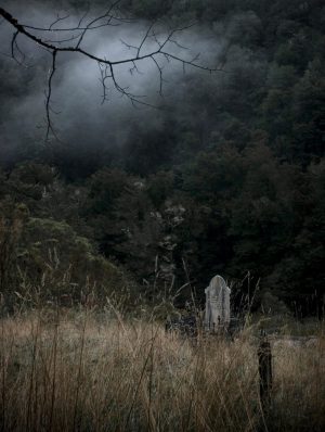 Graveyard, Lyell, 2008