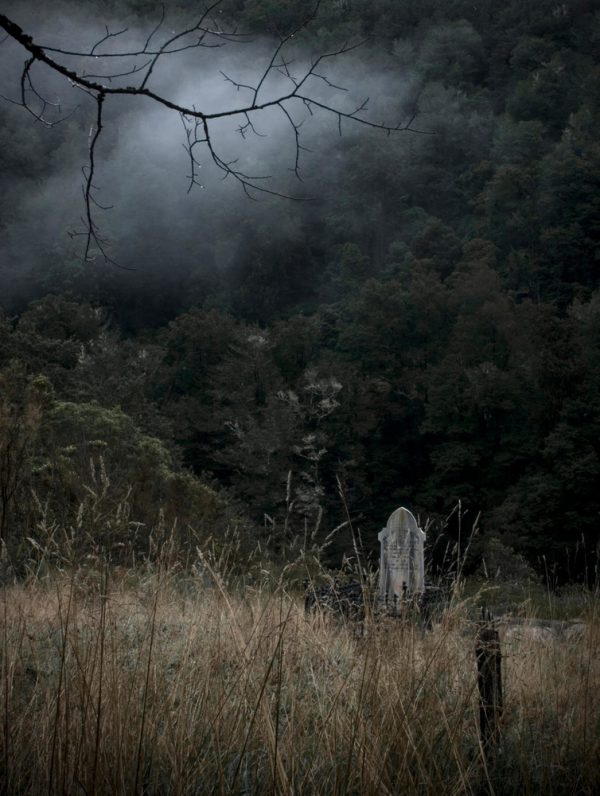 Graveyard, Lyell, 2008