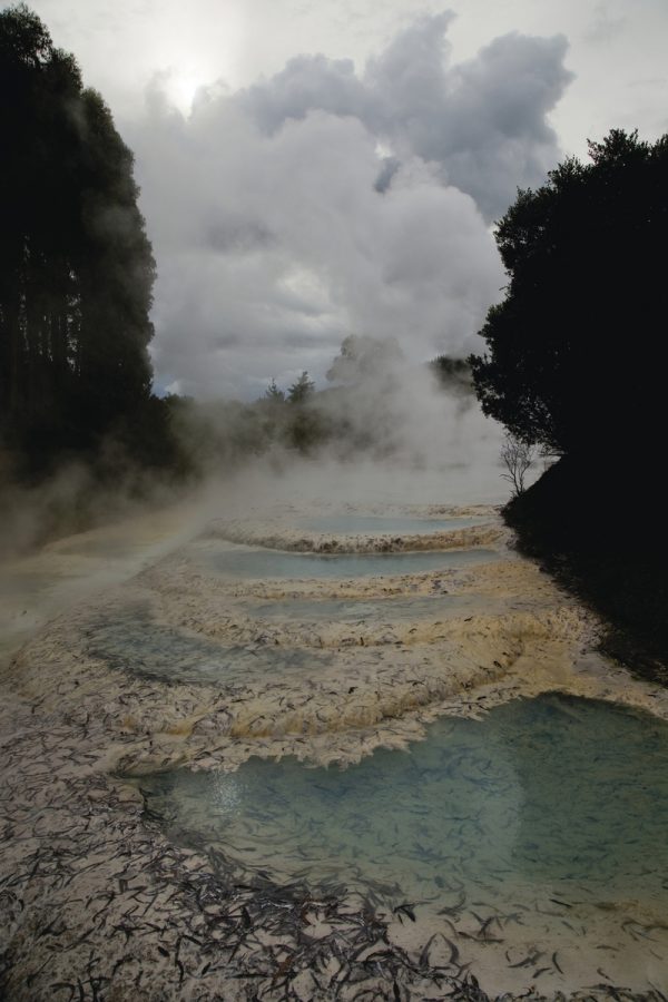 Wairakei Geothermal Pools, Wairakei, 2017