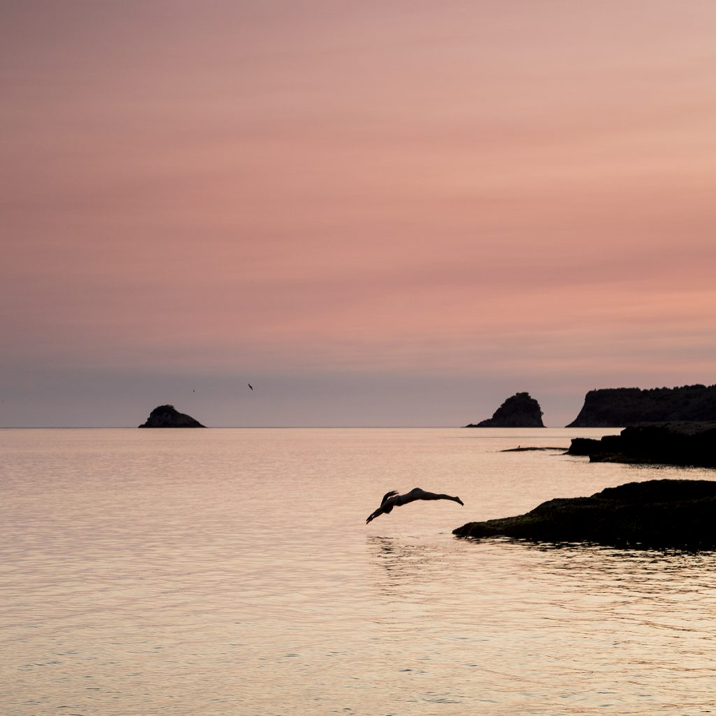 Dive, Cathedral Cove, 2020